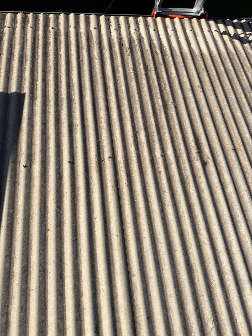 Roof before cleaning